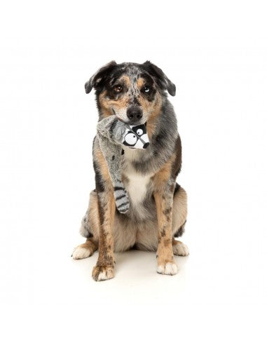 Peluche para cães com som FuzzYard The Yeetz Run Along Racoon
