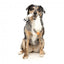 Peluche para cães com som FuzzYard The Yeetz See-Ya Seagull