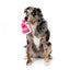 Peluche para cães com som FuzzYard Y2K Better Than You Parfum