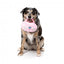 Peluche para cães FuzzYard Y2K Portable CD Player, leitor de CD