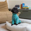 Pijama macio para cães FuzzYard Life Myrtle Green