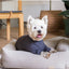 Pijama macio para cães FuzzYard Life Slate Grey