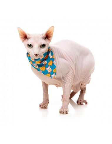 Coleira para gatos com laço FuzzYard Cheesy Hearts