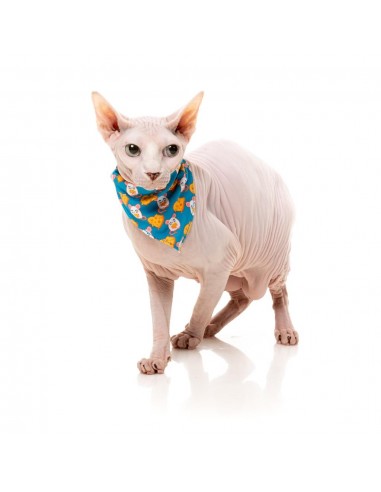Coleira para gatos com laço FuzzYard Cheesy Hearts