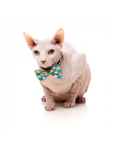 Coleira para gatos com laço FuzzYard Cheesy Hearts
