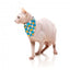 Coleira para gatos com laço FuzzYard Cheesy Hearts
