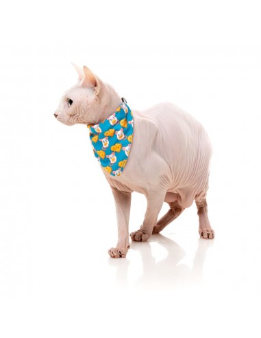 Coleira para gatos com laço FuzzYard Cheesy Hearts