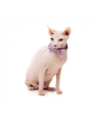 Coleira para gatos com laço FuzzYard Meowcarons