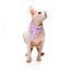 Coleira para gatos com laço FuzzYard Meowcarons