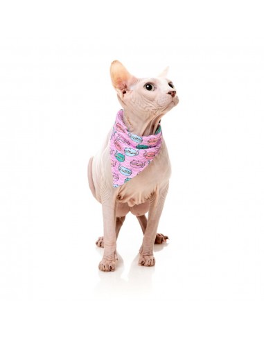 Coleira para gatos com laço FuzzYard Meowcarons