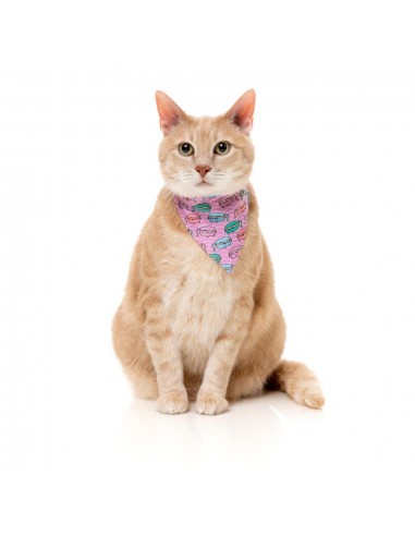 Coleira para gatos com laço FuzzYard Meowcarons