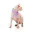 Coleira para gatos com laço FuzzYard Meowcarons