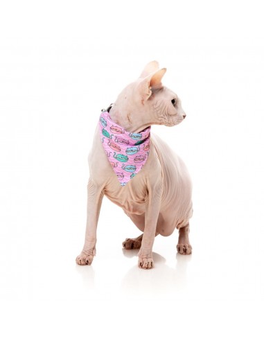 Coleira para gatos com laço FuzzYard Meowcarons