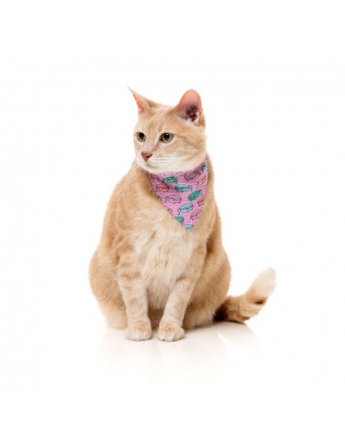 Coleira para gatos com laço FuzzYard Meowcarons