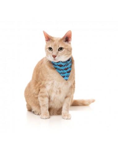 Coleira para gatos com laço FuzzYard Soy Sauce Fish