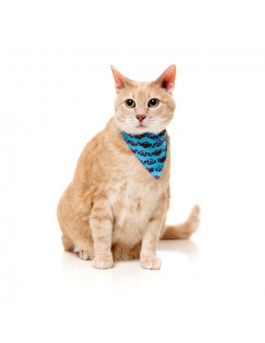 Coleira para gatos com laço FuzzYard Soy Sauce Fish