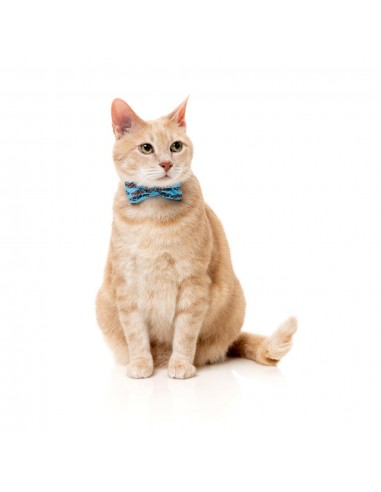 Coleira para gatos com laço FuzzYard Soy Sauce Fish