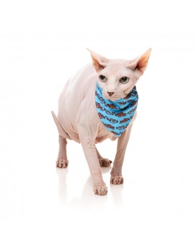 Coleira para gatos com laço FuzzYard Soy Sauce Fish
