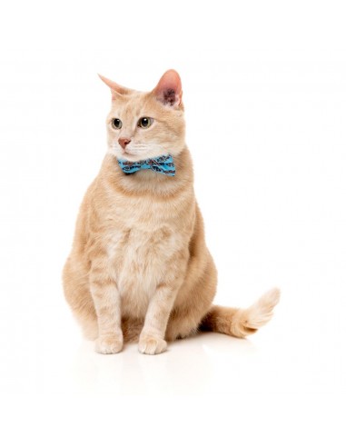 Coleira para gatos com laço FuzzYard Soy Sauce Fish