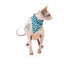 Coleira para gatos com laço FuzzYard Wild One Aqua