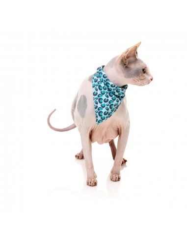 Coleira para gatos com laço FuzzYard Wild One Aqua