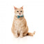 Coleira para gatos com laço FuzzYard Wild One Aqua