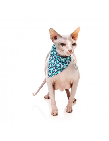 Coleira para gatos com laço FuzzYard Wild One Aqua