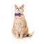 Coleira para gatos com laço FuzzYard Wild One Bubblegum