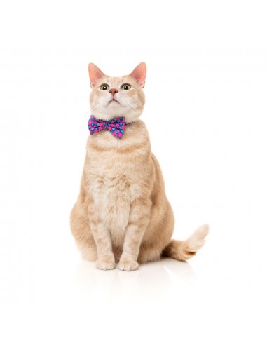 Coleira para gatos com laço FuzzYard Wild One Bubblegum