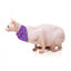 Coleira para gatos com laço FuzzYard Wild One Bubblegum