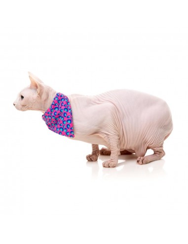 Coleira para gatos com laço FuzzYard Wild One Bubblegum