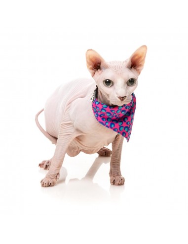 Coleira para gatos com laço FuzzYard Wild One Bubblegum