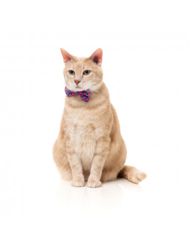 Coleira para gatos com laço FuzzYard Wild One Bubblegum