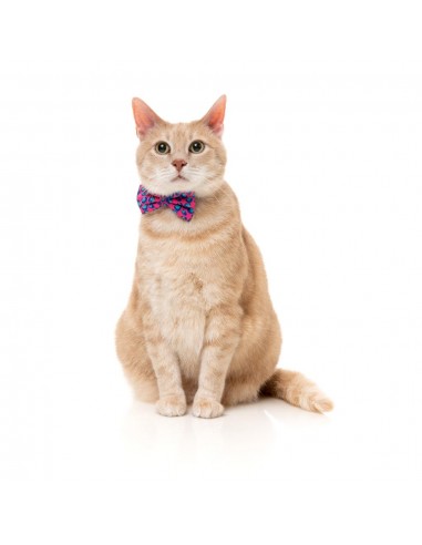 Coleira para gatos com laço FuzzYard Wild One Bubblegum