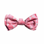 Laço com velcro para cães FuzzYard Pink Lemonade (tamanho L)