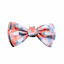 Laço com velcro para cães FuzzYard Yazd (tamanho L)