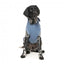Camisola com capuz para cães FuzzYard Treats, azul (tamanho 6)