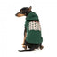 Camisola com capuz para cães FuzzYard Treats, verde (tamanho 1)
