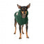 Camisola com capuz para cães FuzzYard Treats, verde (tamanho 1)