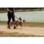 Acoplador de trela para dois cães FuzzYard FY Active