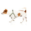 Peitoral ajustável para cães FuzzYard FY Active Strap, caqui (tamanho S)