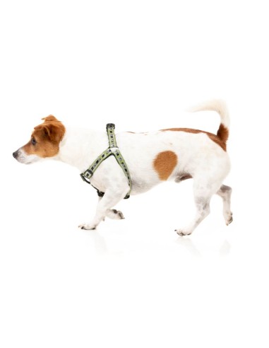 Peitoral ajustável para cães FuzzYard FY Active Strap, caqui (tamanho S)