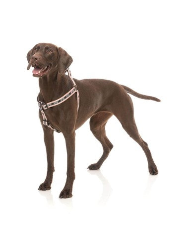 Peitoral ajustável para cães FuzzYard FY Active Strap, pêssego (tamanho S)