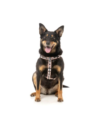 Peitoral ajustável para cães FuzzYard FY Active Strap, pêssego (tamanho S)