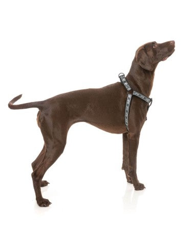 Peitoral ajustável para cães FuzzYard FY Active Strap, preto (tamanho XS)