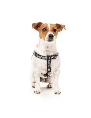 Peitoral ajustável para cães FuzzYard FY Active Strap, preto (tamanho XS)