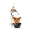 Comedouro dobrável para cão em silicone FuzzYard FY Active 500 ml