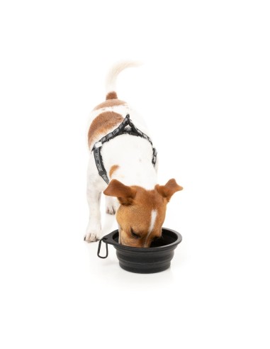 Comedouro dobrável para cão em silicone FuzzYard FY Active 500 ml