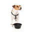 Comedouro dobrável para cão em silicone FuzzYard FY Active 500 ml