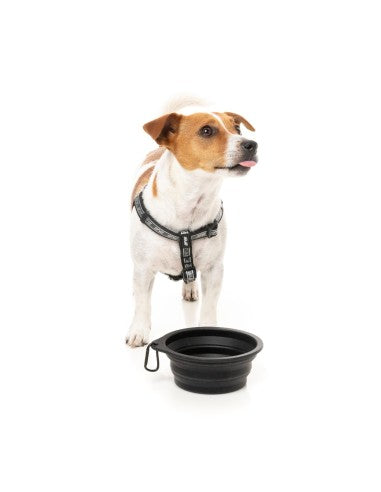 Comedouro dobrável para cão em silicone FuzzYard FY Active 500 ml